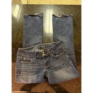 American Eagle Womens Jeans Artist Flared Boot Size 6 Low Rise Stretch Y2K Vibes